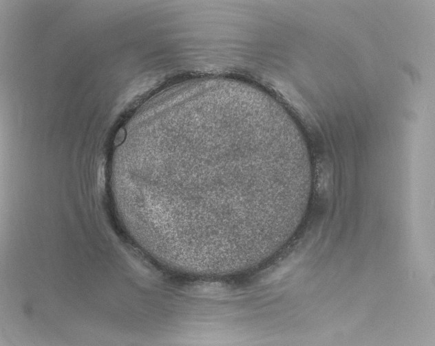 X0000115340685200911231433