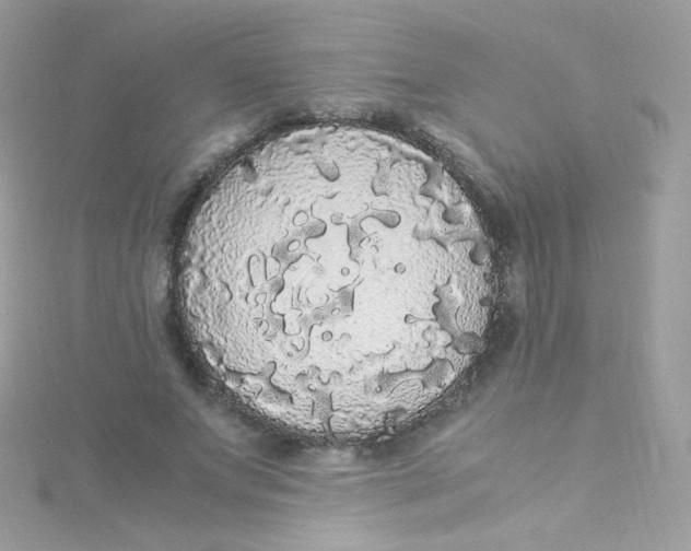 X0000115340687200911231433