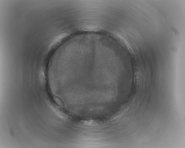 X0000115340688200911231433