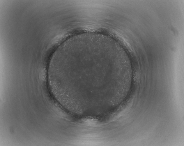 X0000115340689200911231433