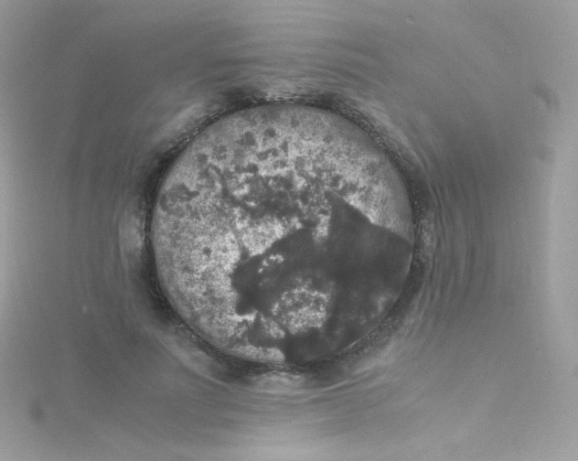 X0000115340691200911231433