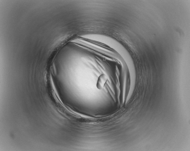 X0000115340692200911231433