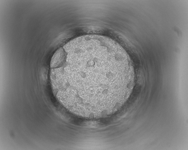 X0000115340695200911231433