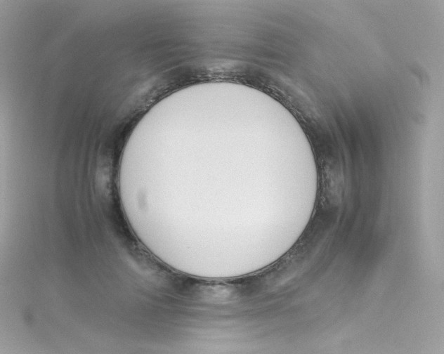 X0000115340698200911231433