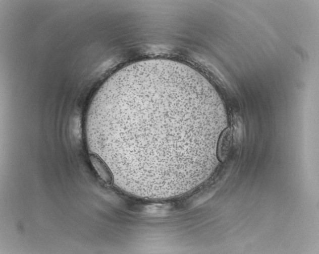 X0000115340700200911231433