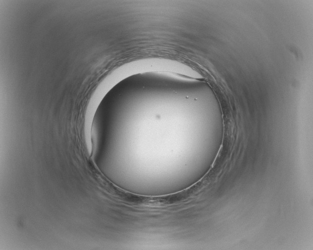 X0000115340701200911231433