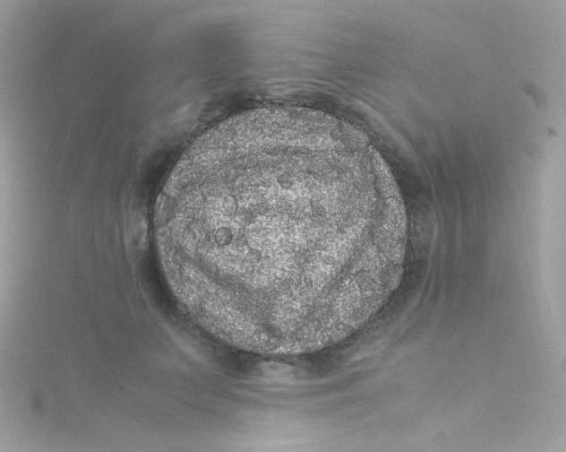 X0000115340703200911231433