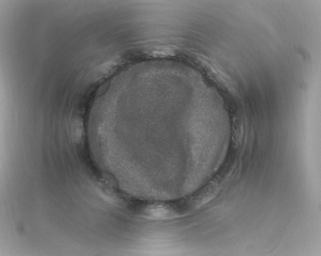 X0000115340704200911231433