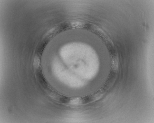 X0000115340705200911231433