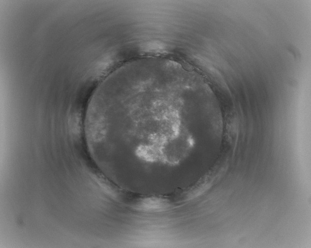 X0000115340708200911231433