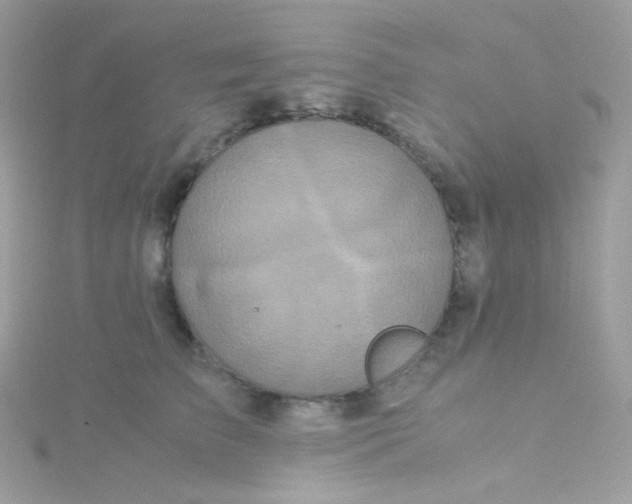 X0000115340709200911231433