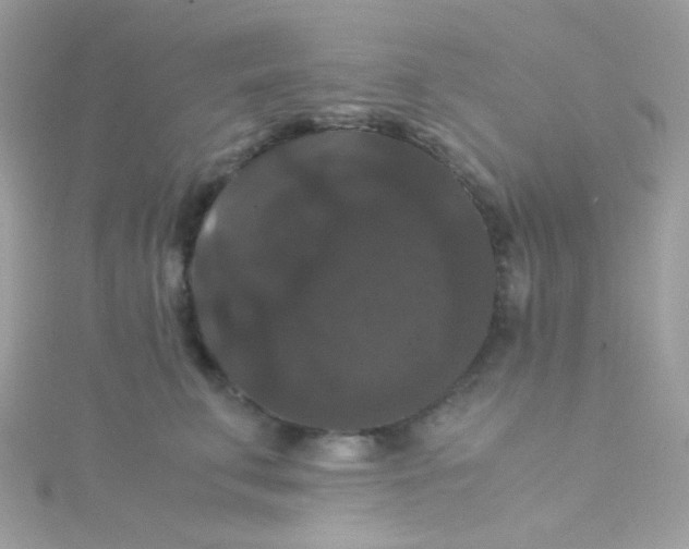 X0000115340711200911231433