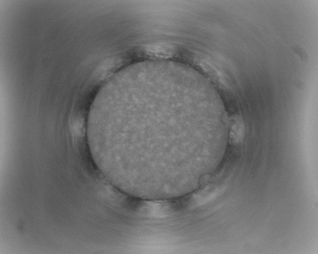 X0000115340713200911231433