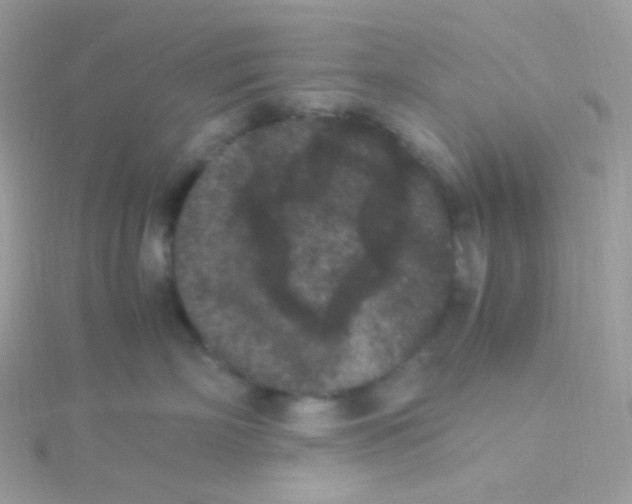 X0000115340718200911231433