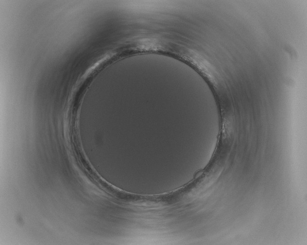 X0000115340722200911231432