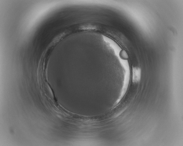 X0000115340723200911231432