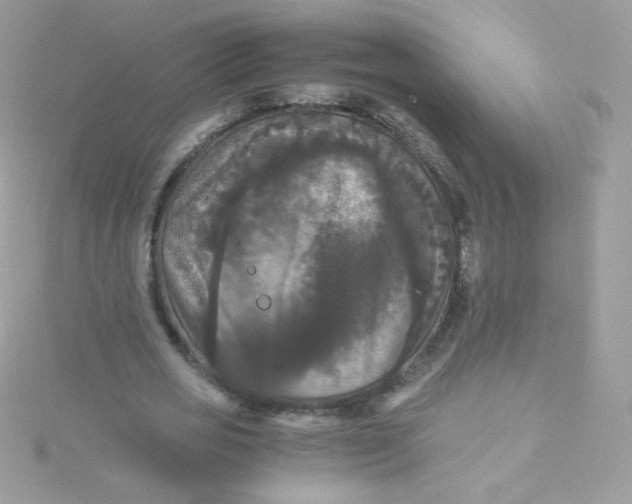 X0000115340725200911231432