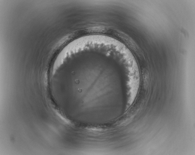 X0000115340729200911231432