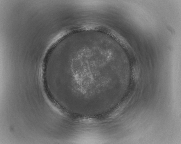 X0000115340730200911231432