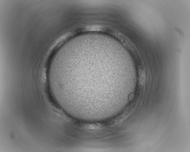 X0000115340731200911231432