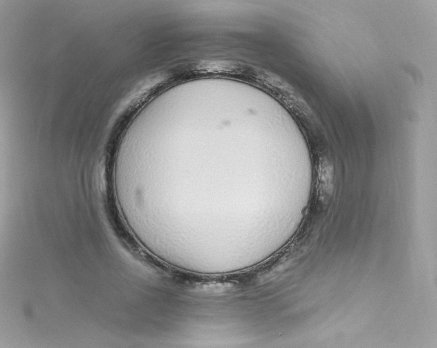 X0000115340734200911231432