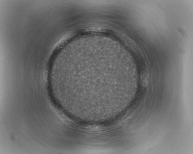 X0000115340735200911231432