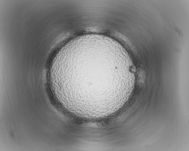 X0000115340738200911231432