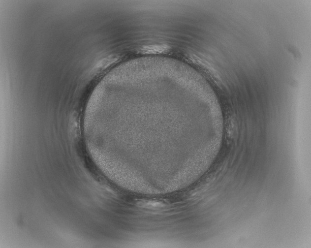 X0000115340743200911231432