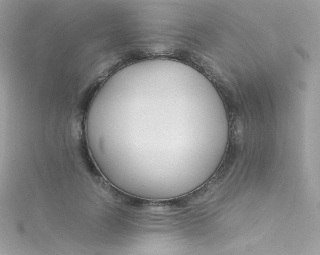 X0000115340746200911231432