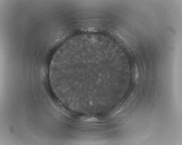 X0000115340747200911231432