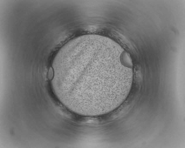 X0000115340750200911231432