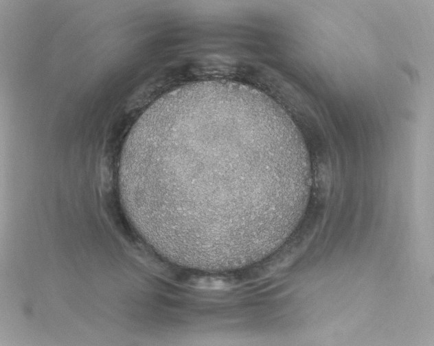 X0000115340751200911231432