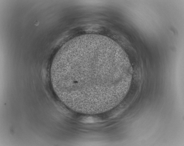 X0000115340755200911231432