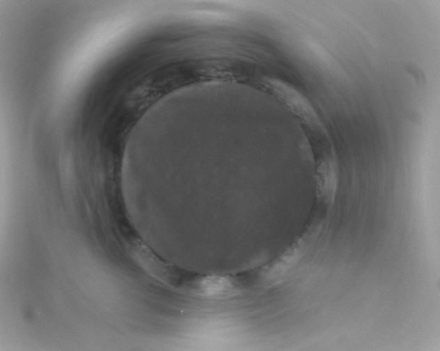 X0000115340762200911231432