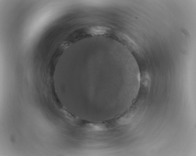 X0000115340763200911231432