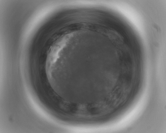 X0000115340766200911231432