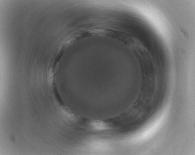 X0000115340767200911231432