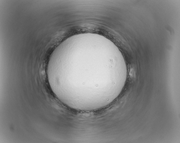 X0000115340771200911231432