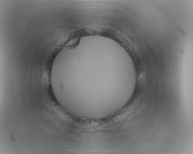 X0000115340772200911231432