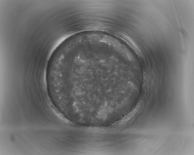 X0000115340788200911231432