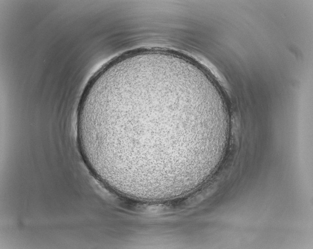 X0000115340791200911231432