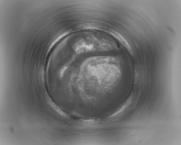 X0000115340798200911231431