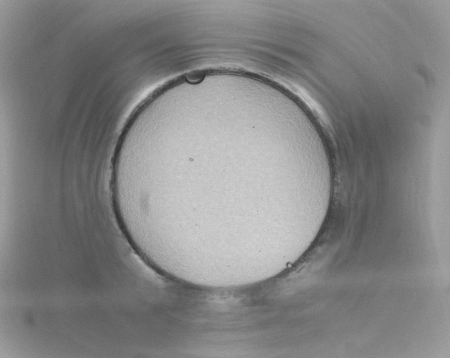 X0000115340799200911231431