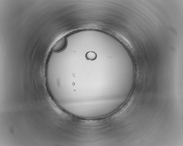 X0000115340800200911231431