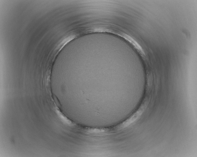 X0000115340801200911231431