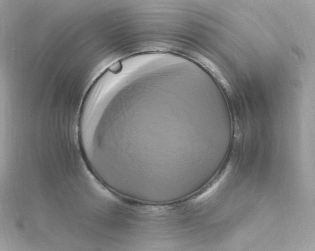 X0000115340802200911231431