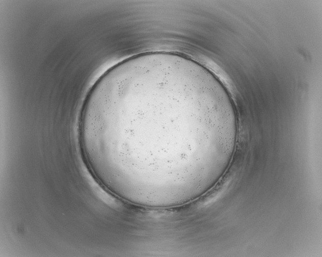 X0000115340803200911231431