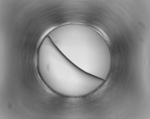 X0000115340804200911231431