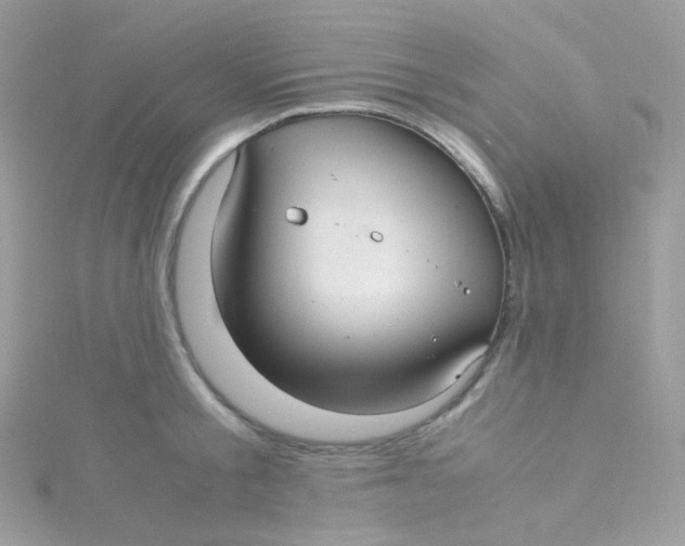 X0000115340805200911231431