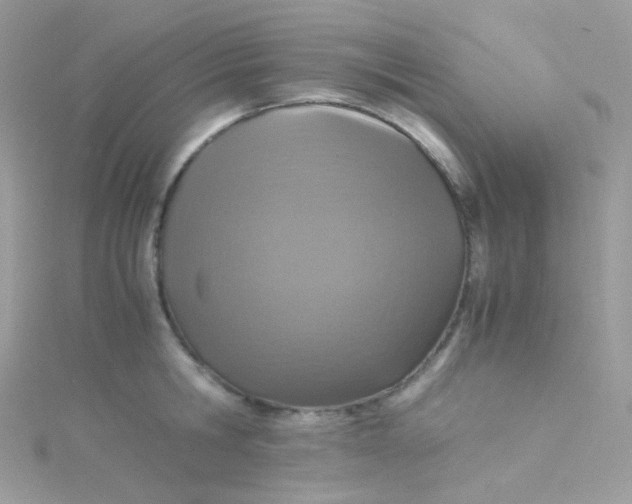 X0000115340806200911231431